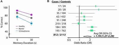 Synaptic Effects of Dopamine Breakdown and Their Relation to Schizophrenia-Linked Working Memory Deficits